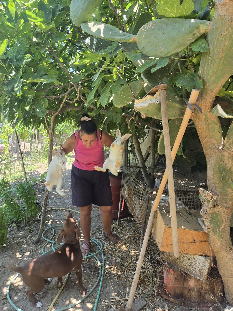 Catia with two of the farm rabbits
