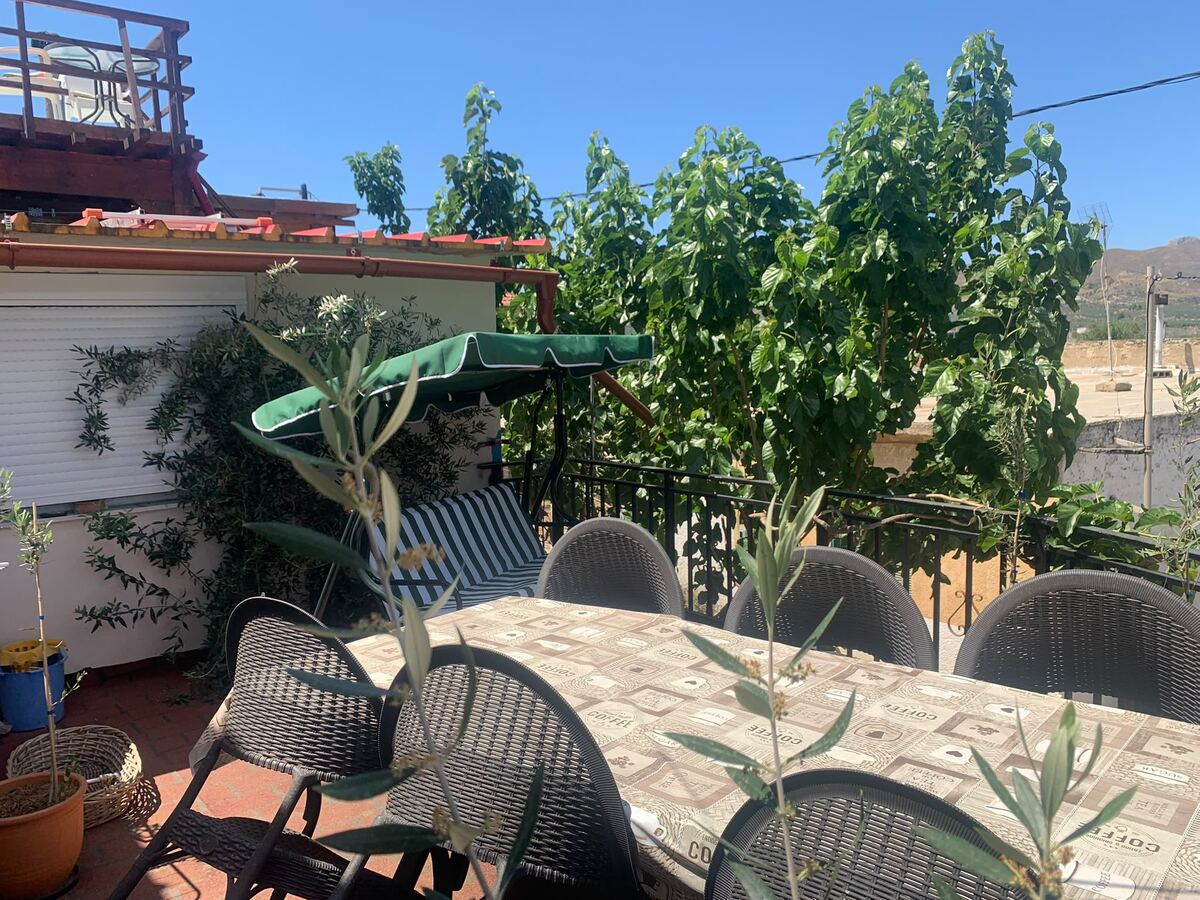 The terrace among olive trees and vines